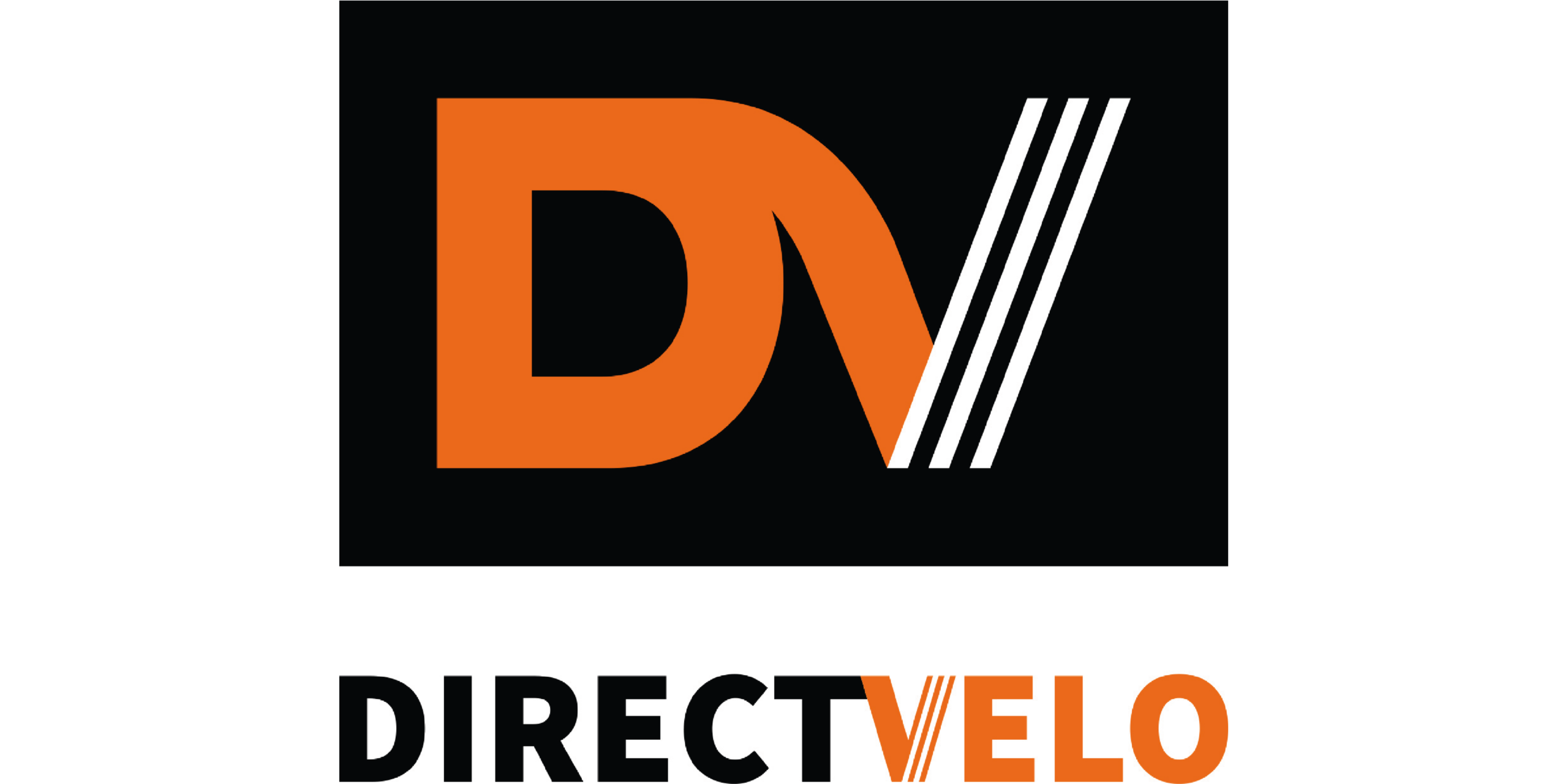 LOGO-DV-SITE-2